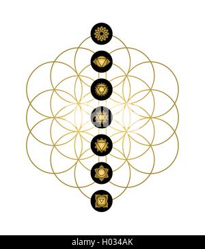 Main yoga chakras gold icons on flower of life. Minimalist sacred geometry illustration. EPS10 vector. Stock Vector