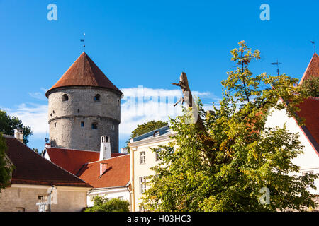 Kiek in de Kok cannon tower in the old town of Tallinn, Estonia Stock Photo