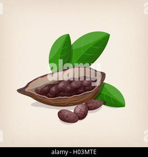 Cacao pods and beans with leaves. Vector illustration. Stock Vector