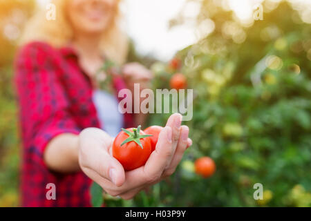 Unrecognizable blond woman holding ripe tomato in her hand Stock Photo
