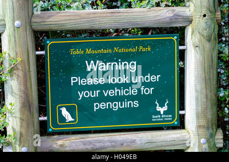 WARNING board in Simon's Town asking to look under the vehicles for penguins. South Africa Stock Photo