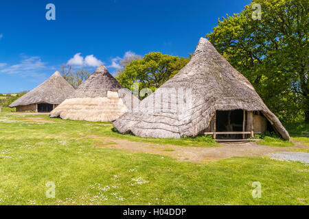 Cook House at Castell Henllys a Iron Age Village, Pembrokeshire Coast National Park, Pembrokeshire, Wales, United Kingdom, Europ Stock Photo