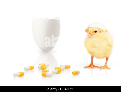 Small yellow chicken with part of eggshell on his head near pile of yellow and white capsules and other part of eggshell Stock Photo