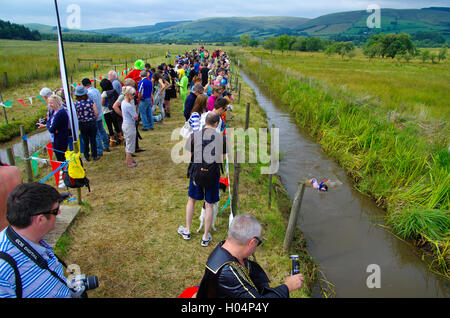 International Bog Snorkelling Championships, Llanwrtyd Wells, Wales, Stock Photo