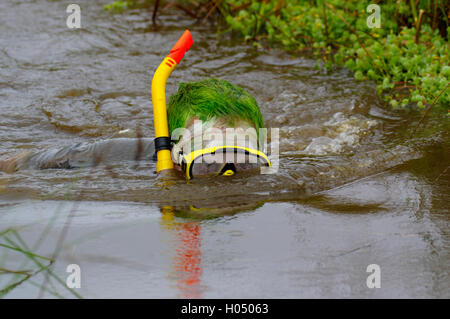 International Bog Snorkelling Championships, Llanwrtyd Wells, Wales, Stock Photo