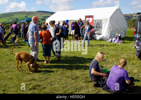 International Bog Snorkelling Championships, Llanwrtyd Wells, Wales, Stock Photo