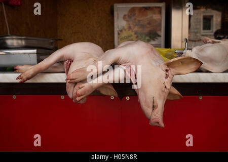 Freshly slaughtered suckling pigs for sale on a butcher's stall at the market. Stock Photo
