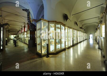Civic Museums of Reggio Emilia. Palace of Museum in Reggio Emilia, Italy, Europe Stock Photo