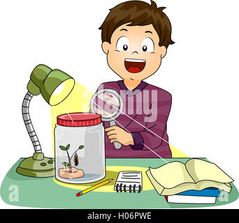 Illustration of a Boy Observing the Metamorphosis of a Caterpillar Stock Photo