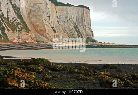 Low tide at the White Cliffs of Dover under gray clouds along England's Dover Straits at St Margarets at Cliffe in Great Britain