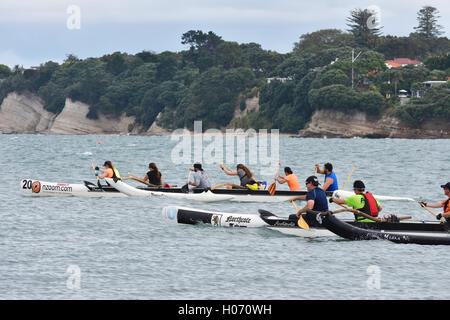 Waka ama crews paddling hard during training Stock Photo