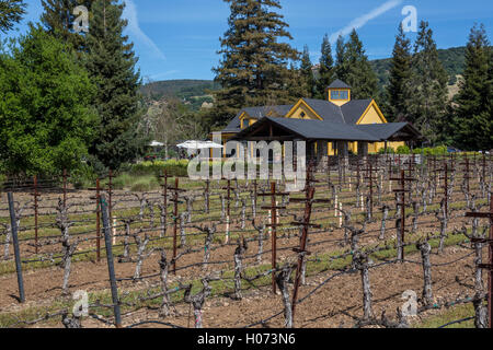 vineyards, wine tasting, Vineyard House, Paraduxx Winery, Yountville, Napa Valley, California, United States, North America Stock Photo