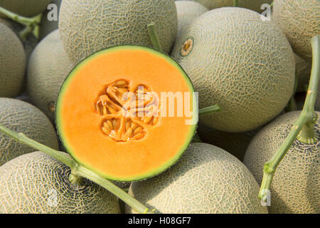 Cantaloup melon Stock Photo