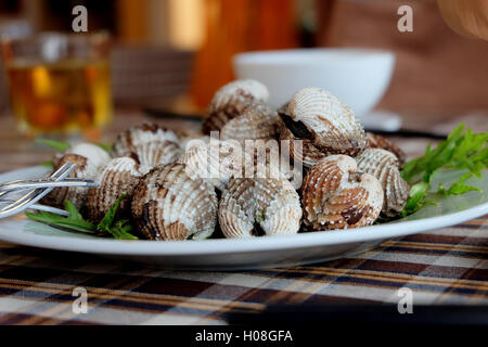 Blood cockle on the table dish Stock Photo