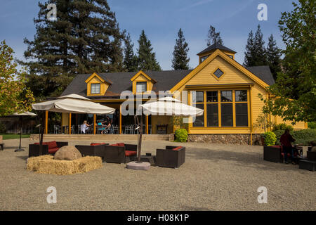 Outdoor wine tasting, Vineyard House, Paraduxx Winery, Yountville, Napa Valley, California, United States, North America Stock Photo