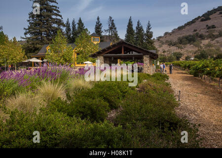 Outdoor wine tasting, Paraduxx Winery, Yountville, Napa Valley, California, United States, North America Stock Photo