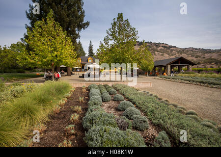 Outdoor wine tasting, Paraduxx Winery, Yountville, Napa Valley, California, United States, North America Stock Photo