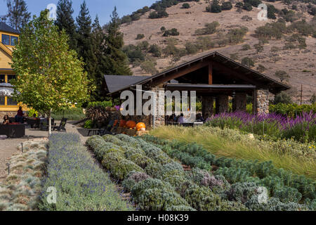 Outdoor wine tasting, Paraduxx Winery, Yountville, Napa Valley, California, United States, North America Stock Photo