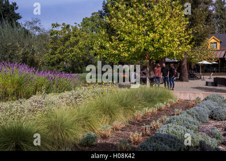 Outdoor wine tasting, Paraduxx Winery, Yountville, Napa Valley, California, United States, North America Stock Photo