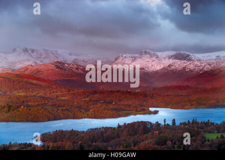 Looking across Lake Windermere to Langdale Pikes on a winters morning in the Lake District National Park, Cumbria, UK Stock Photo