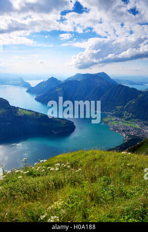 View from the Fronalpstock, Rigi and Lake Lucerne behind, Stoos, Canton of Schwyz, Switzerland Stock Photo