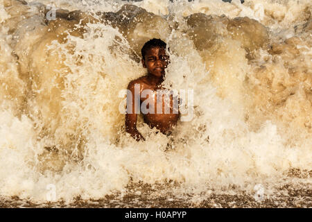 Survival of the fittest-A basic chapter for livelihood Stock Photo