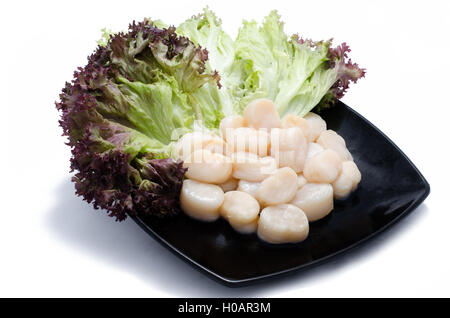 Scallops with salad on black plate Stock Photo