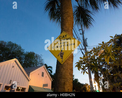 Street sign in Bahama Village, Key West, warning motorist about cats crossing the street Stock Photo