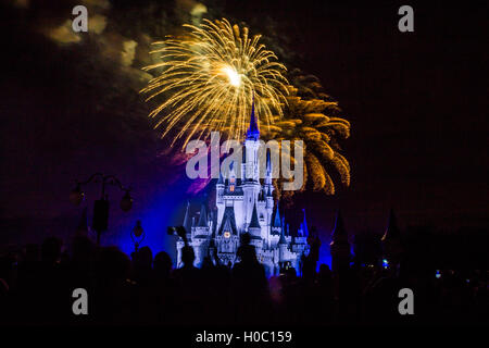 Image of the Magic Kingdom Park castle with fireworks in the background Stock Photo
