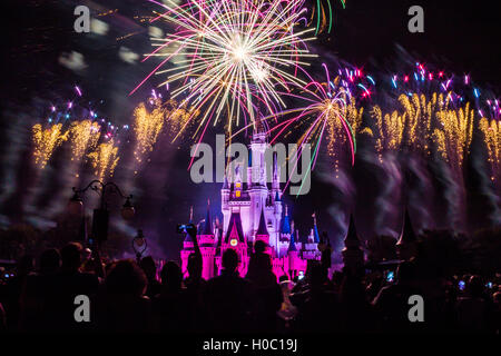 Image of the Magic Kingdom Park castle with fireworks in the background Stock Photo