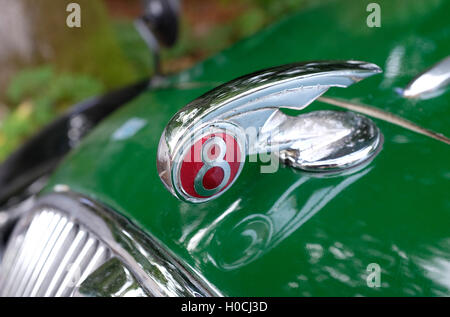 morris 8 car emblem on green bonnet Stock Photo