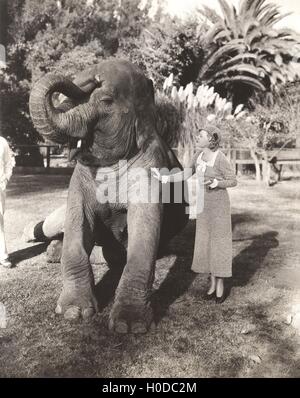 Young woman stroking elephant in zoo Stock Photo