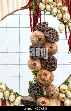 Floral autumn art. Circling seed pods at Harrogate autumn flower show. Harrogate  North Yorkshire, England Stock Photo