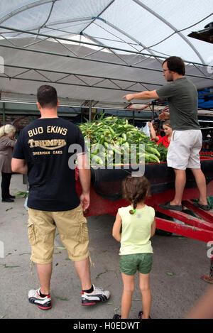 Delivery of fresh corn on the cob in Atwater Farmer's Market, Montreal, Canada Stock Photo