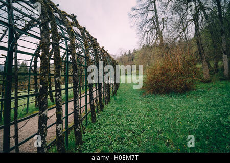 Green pergola in garden a cloudy day Stock Photo