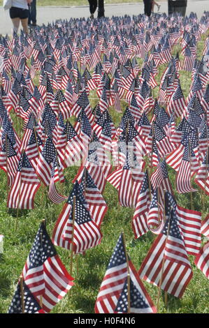 Sea of flags on Boston Commons, Memorial Day (U.S.)mi Stock Photo
