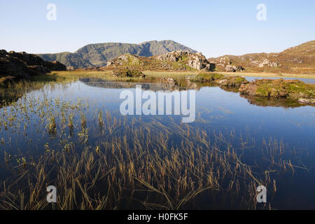 Pillar from Innominate Tarn on Haystacks Stock Photo