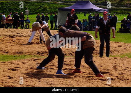 swiss traditional wrestling Stock Photo
