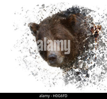 Digital Painting of Brown Bear Stock Photo