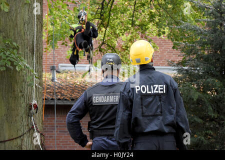 A German federal police officer (R) and a French gendarme stand in front of a police officer rappeling from a tree during a drill in Kiel, Germany, 21 September 2016. Federal police specialists from all over Germany and French police officers are practicing the retrieval of so-called 'disturbers' that have chained themselves to trees and buildings. Photo: CARSTEN REHDER/dpa Stock Photo