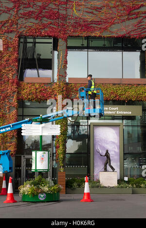 Wimbledon London,UK. 22nd September 2016. A worker on a cherry picker carries out maintenance work in front of Wimbledon Centre Court covered in Japanese Ivy which has changed to beautiful autumn colours Credit:  amer ghazzal/Alamy Live News Stock Photo