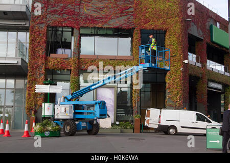 Wimbledon London,UK. 22nd September 2016. A worker on a cherry picker carries out maintenance work in front of Wimbledon Centre Court covered in Japanese Ivy which has changed to beautiful autumn colours Credit:  amer ghazzal/Alamy Live News Stock Photo