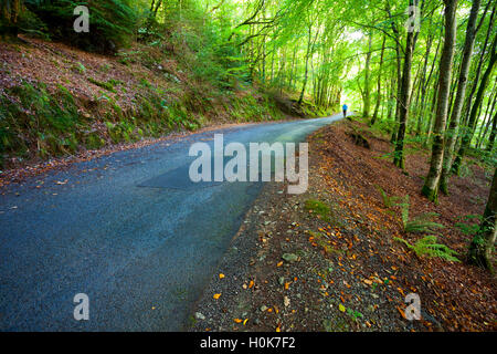 A person walking along a road surrounded by trees as the sun tries to break through on the day of the Autumn Equinox. Stock Photo