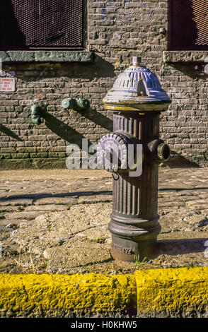 Fire hydrant on sidewalk Stock Photo