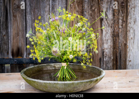 Wild teasels (Dipsacus fullonum), small teasels (Dipsacus pilosus) and fennel (Foeniculum vulgare) flowers, bouquet in bowl Stock Photo