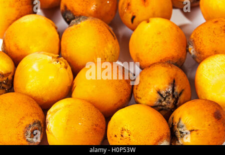 Studio shot extreme close up of collection of natural ripe orange palm dates Stock Photo