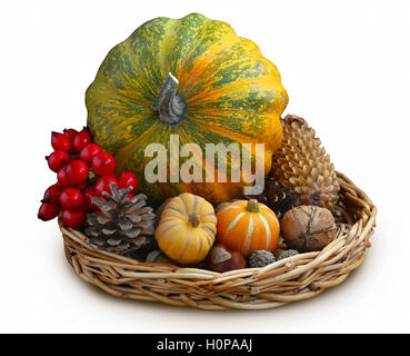 Autumn decorative pumpkins, cones and nuts isolated on white Stock Photo