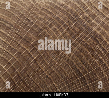 End grain wood background. Cross cut oak texture close up. Stock Photo