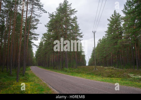 Turning road and power lines cut through wooded area Stock Photo