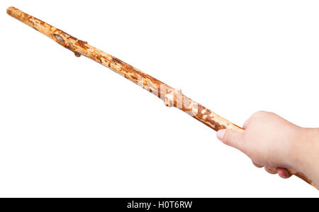 arm with wooden staff from tree trunk isolated on white background Stock Photo